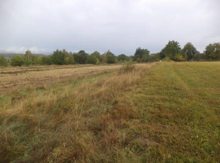 Prodej - pozemek, trvalý travní porost, 1 083 m²