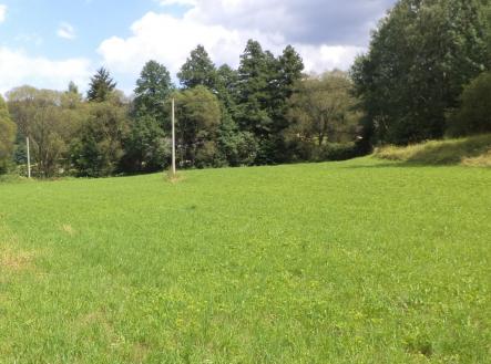 Prodej - pozemek, trvalý travní porost, 3 601 m²