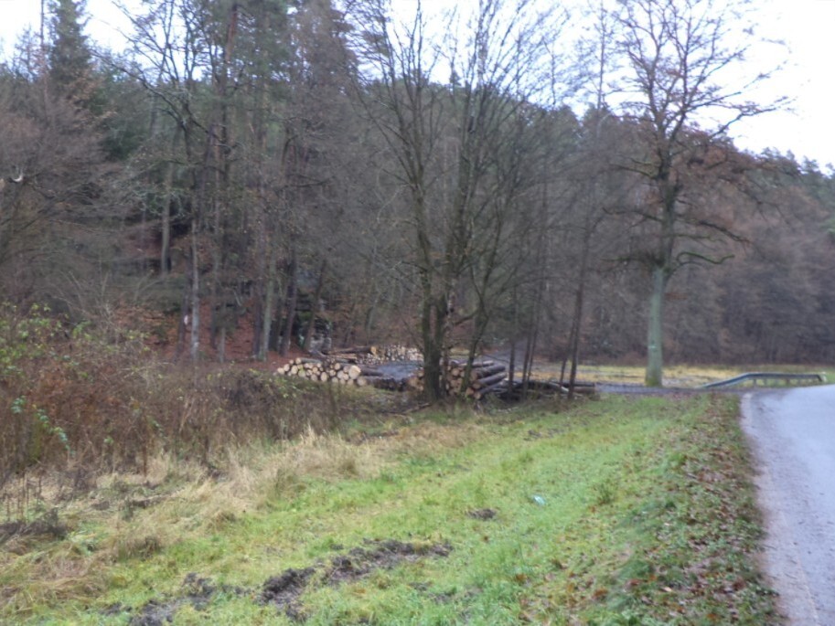 Pozemek o velikosti 1295m2, Žďár v Podbezdězí