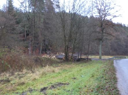 Prodej - pozemek, trvalý travní porost, 1 295 m²