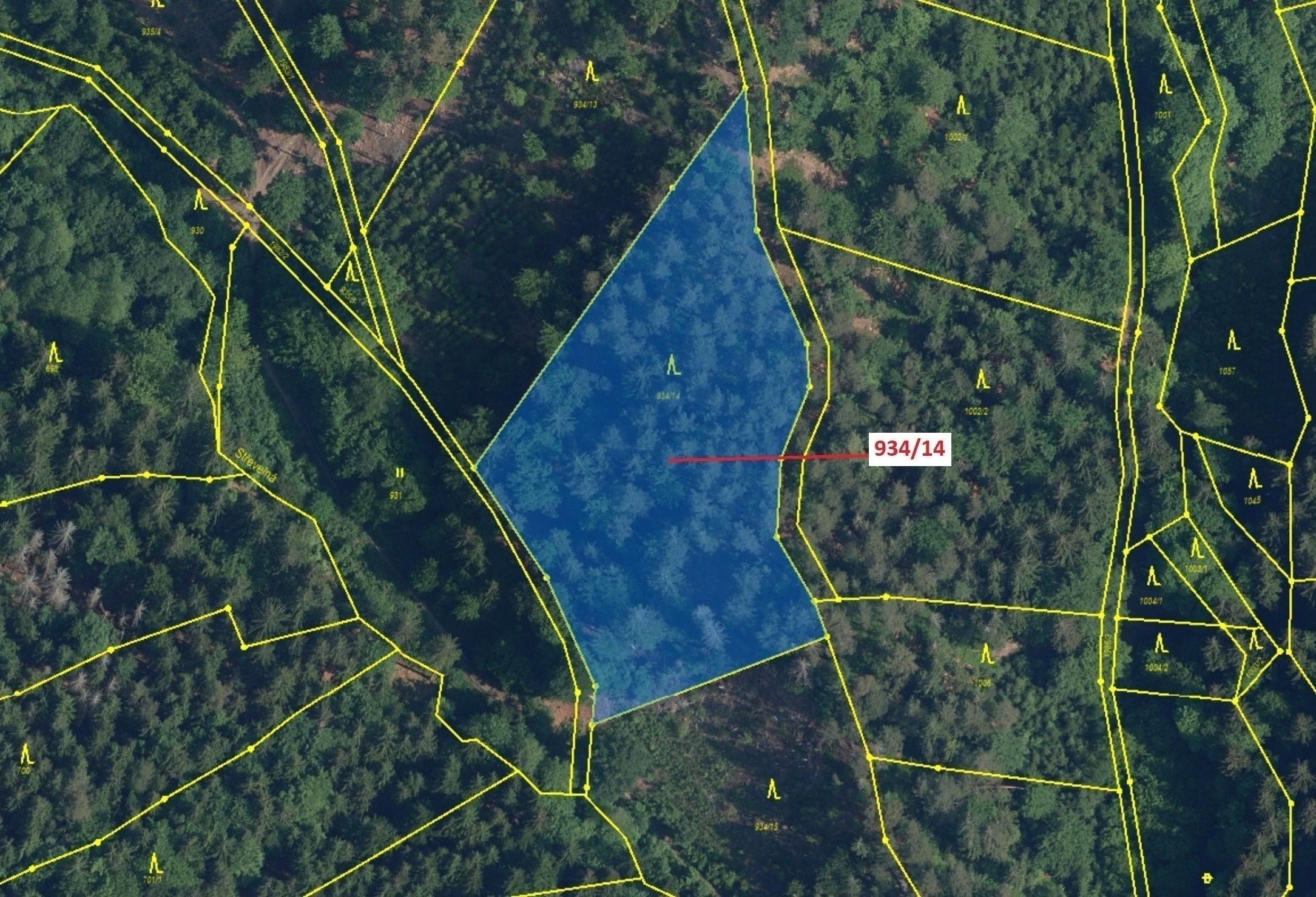 Lesní pozemek o výměře 5 751 m2, podíl 1/1, katastrální území Jílové u Držkova, obec Jílové u Držkov