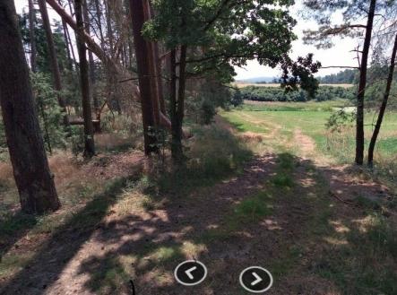 Prodej - pozemek, les, 1 726 m²