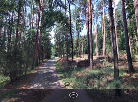 Prodej - pozemek, les, 1 726 m²