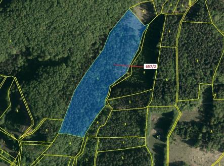 Prodej - pozemek, les, 22 874 m²