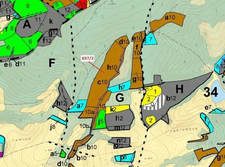 Prodej - pozemek, les, 22 874 m²