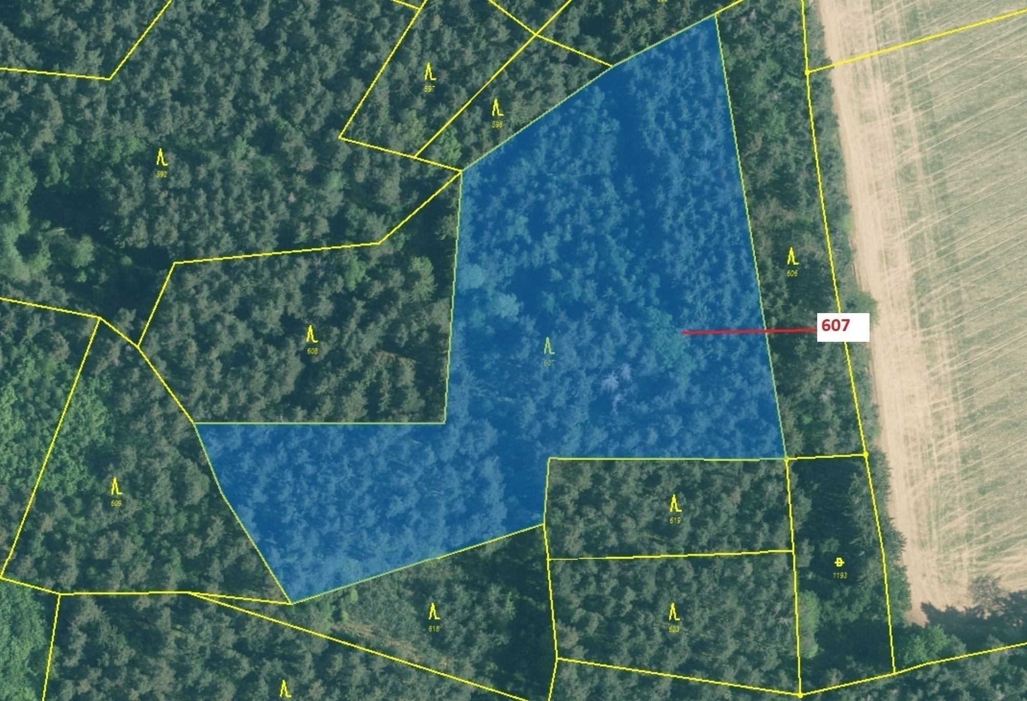 Lesní pozemek o výměře 10 437 m2, podíl 1/1, katastrální území Kuřimany, obec Kuřimany, obec s rozší