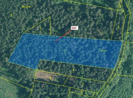 Prodej - pozemek, les, 11 584 m²