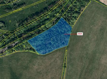 Prodej - pozemek, les, 7 776 m²