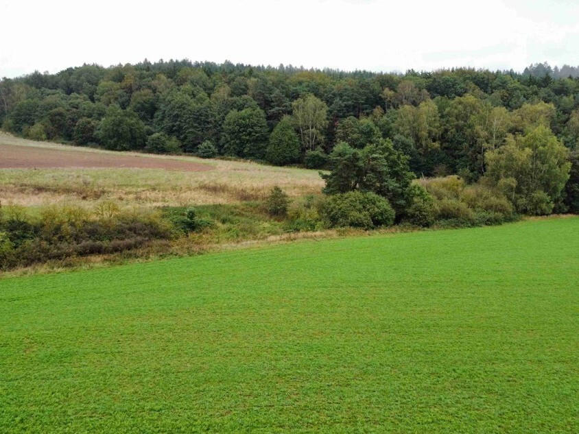 Pozemek o velikosti 12366m2,  Kostelec nad Černými lesy