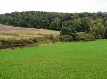 Prodej - pozemek, zemědělská půda, 12 366 m²