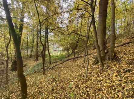 Prodej - pozemek, ostatní, 2 639 m²