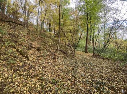 Prodej - pozemek, ostatní, 2 639 m²