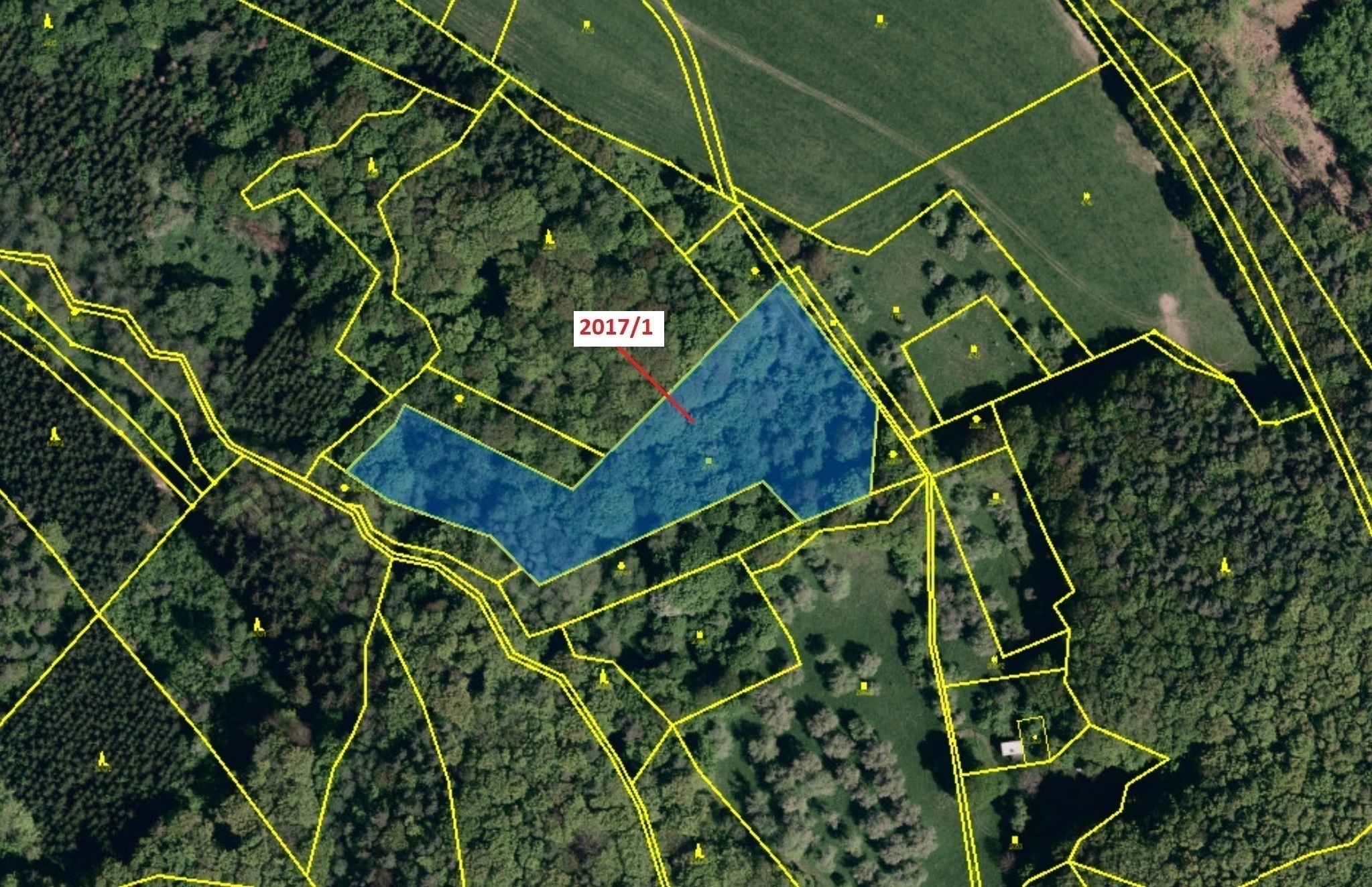 Trvalý travní porost o výměře 7426 m2, podíl 1/1, katastrální území Slopné, obec Slopné, obec s rozš