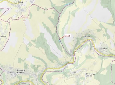 Prodej - pozemek, les, 2 958 m²