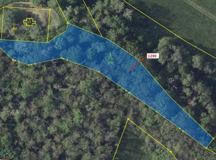 Prodej - pozemek, les, 2 275 m²