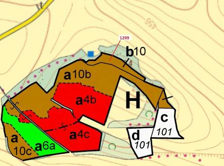 Prodej - pozemek, les, 2 275 m²