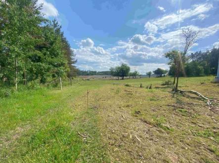 Prodej - pozemek, trvalý travní porost, 2 300 m²