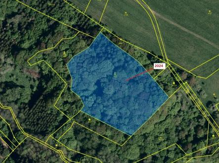 Prodej - pozemek, les, 8 536 m²