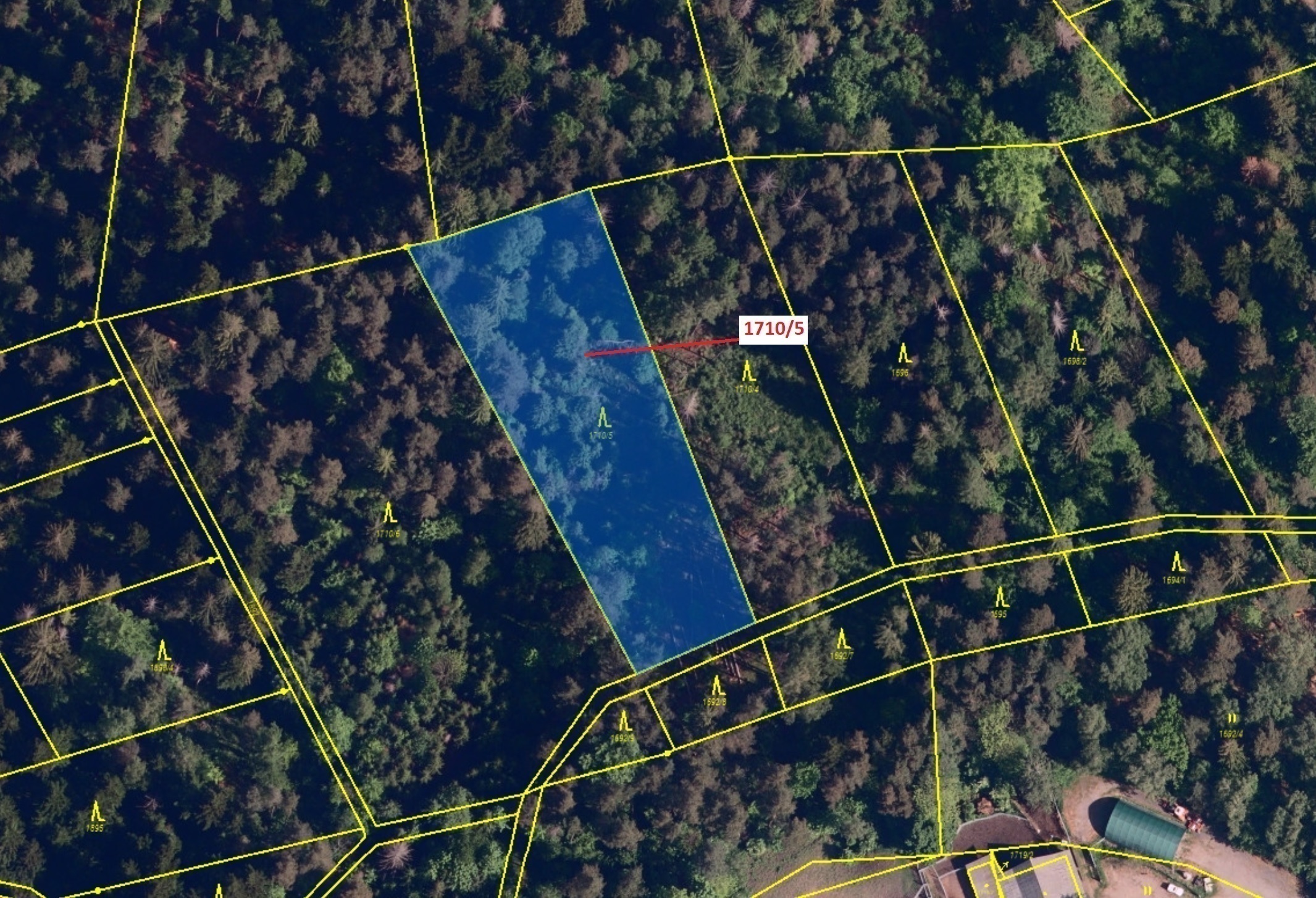 Lesní pozemek o výměře 3528 m2, podíl 1/1, katastrální území Návsí, obec Návsí, obec s rozšířenou pů