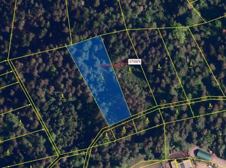 Prodej - pozemek, les, 3 528 m²