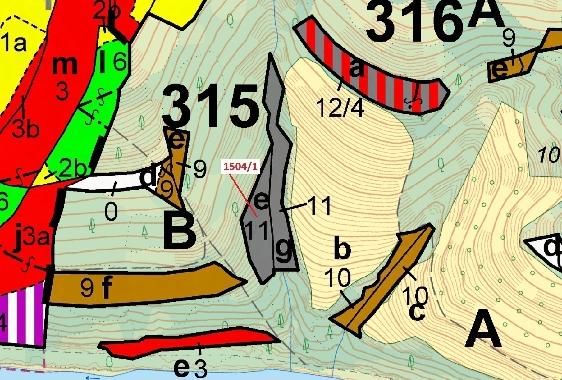 Lesní pozemek o výměře 2626 m2, podíl 1/1, katastrální území Hovězí, obec Hovězí, obec s rozšířenou 