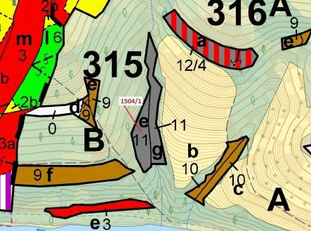 Prodej - pozemek, les, 2 626 m²