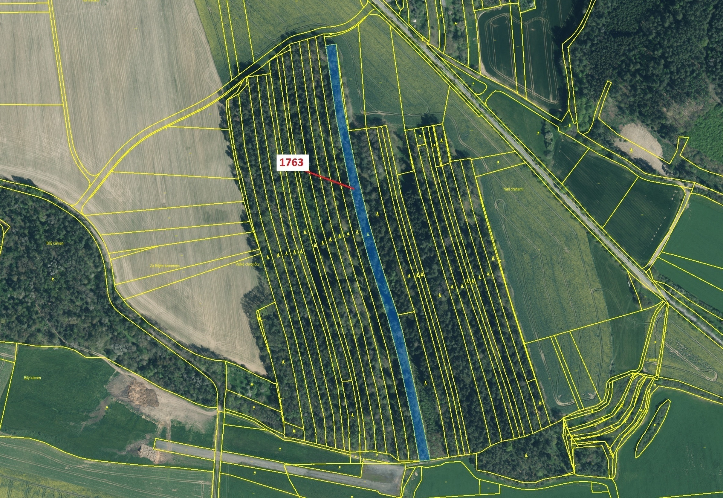 Lesní pozemek o výměře 7329 m2, podíl 1/1, katastrální území Koloveč, obec Koloveč, obec s rozšířeno