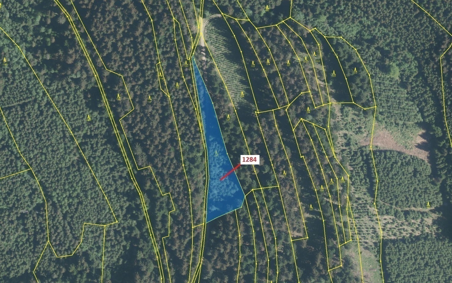 Lesní pozemek o výměře 3805 m2, podíl 1/1, katastrální území Lačnov, obec Lačnov, obec s rozšířenou 