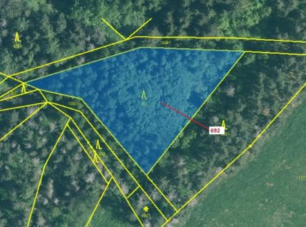 Prodej - pozemek, les, 2 947 m²