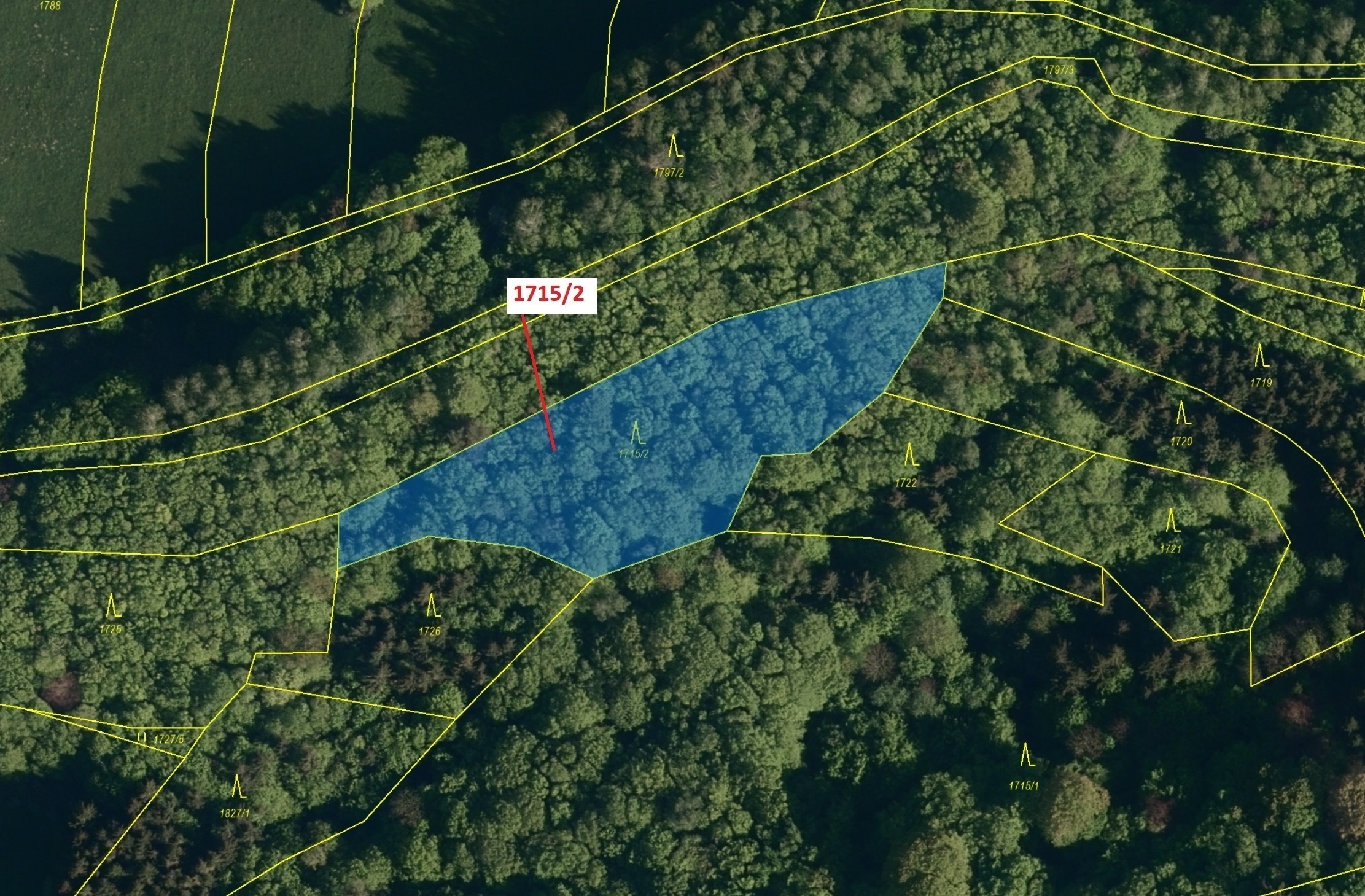 Lesní pozemek o výměře 2632 m2, podíl 1/1, katastrální území Valašská Polanka, obec Valašská Polanka
