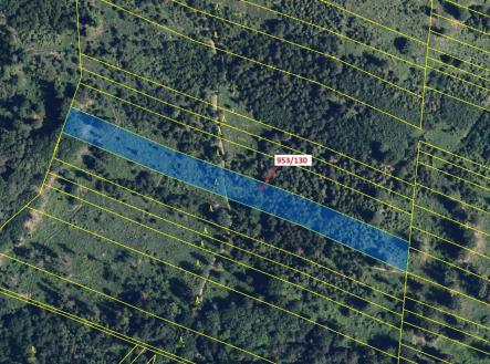 Prodej - pozemek, les, 5 079 m²