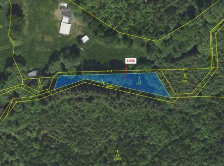 Prodej - pozemek, les, 795 m²