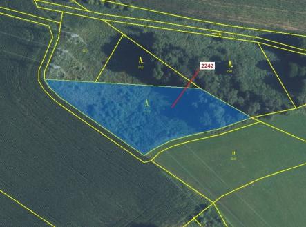 Prodej - pozemek, les, 3 972 m²