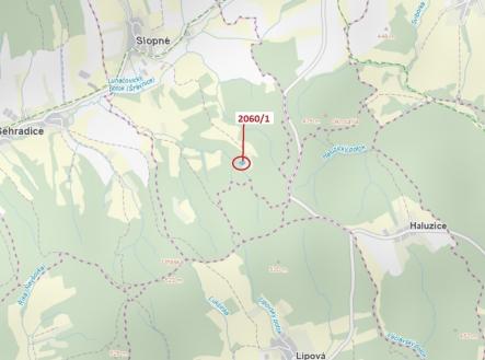 Prodej - pozemek, trvalý travní porost, 2 555 m²