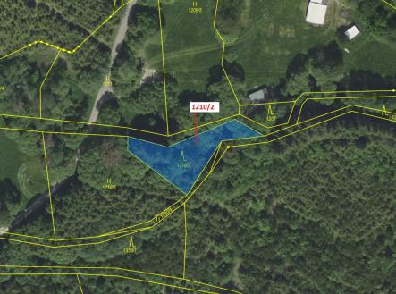 Prodej - pozemek, les, 633 m²