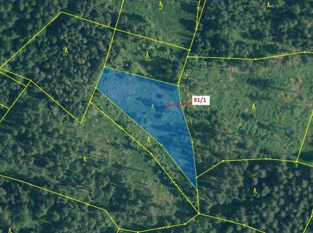 Prodej - pozemek, les, 3 251 m²