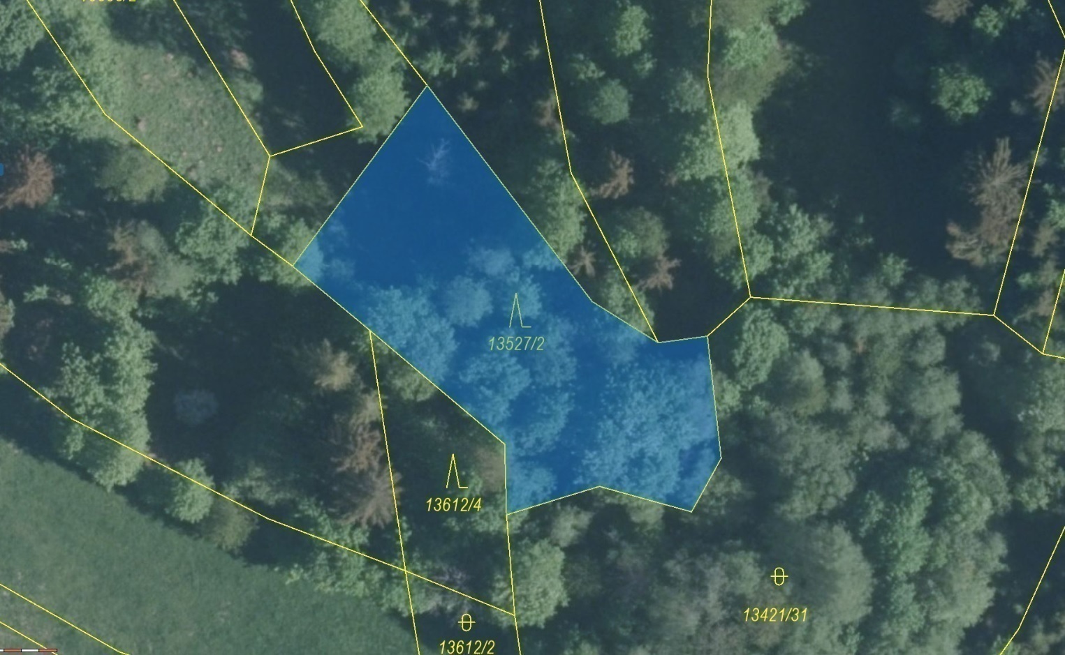 Lesní pozemek o výměře 1230 m2, podíl 1/1, katastrální území Hovězí, obec Hovězí, obec s rozšířenou 