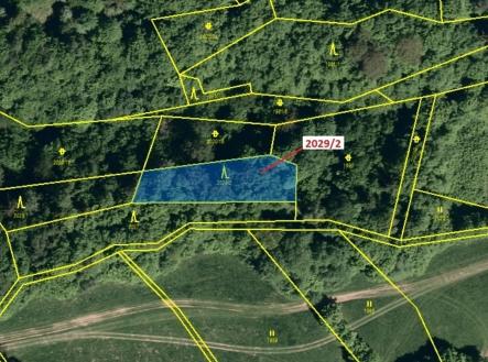 Prodej - pozemek, les, 788 m²