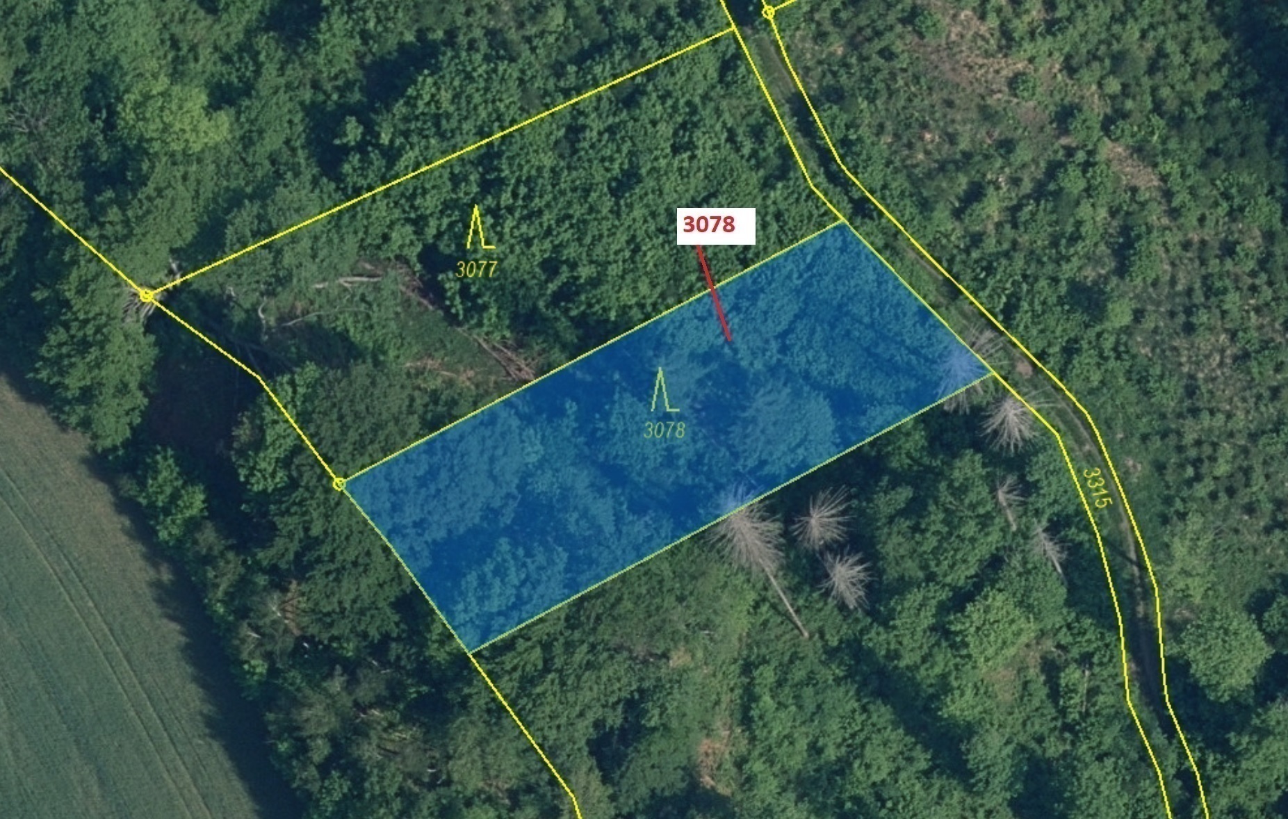 Lesní pozemek o výměře 1110 m2, podíl 1/1, katastrální území Benešov u Semil, obec Benešov u Semil, 