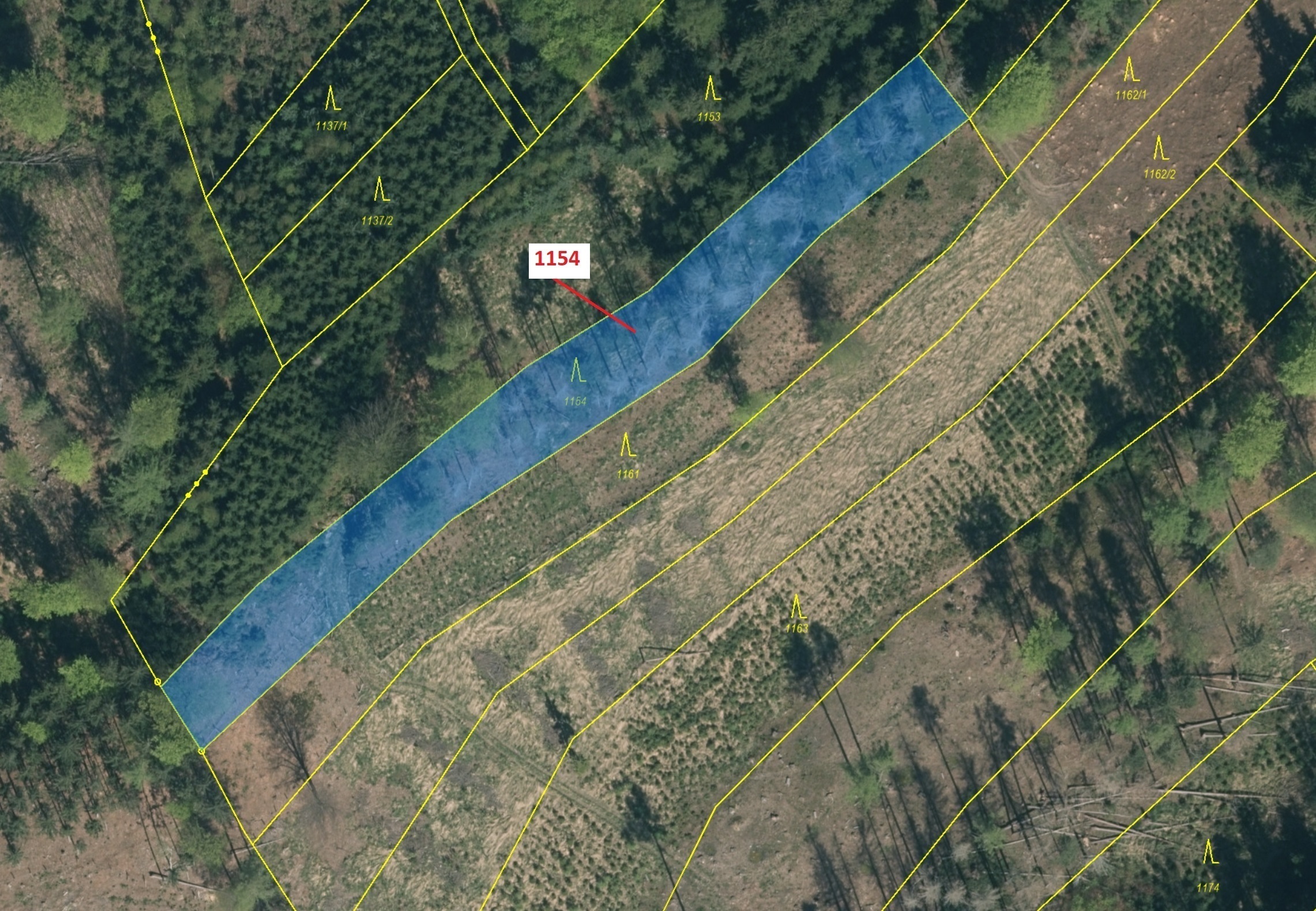 Lesní pozemek o výměře 2384 m2, podíl 1/1, katastrální území Vilice, obec Vilice, obec s rozšířenou 