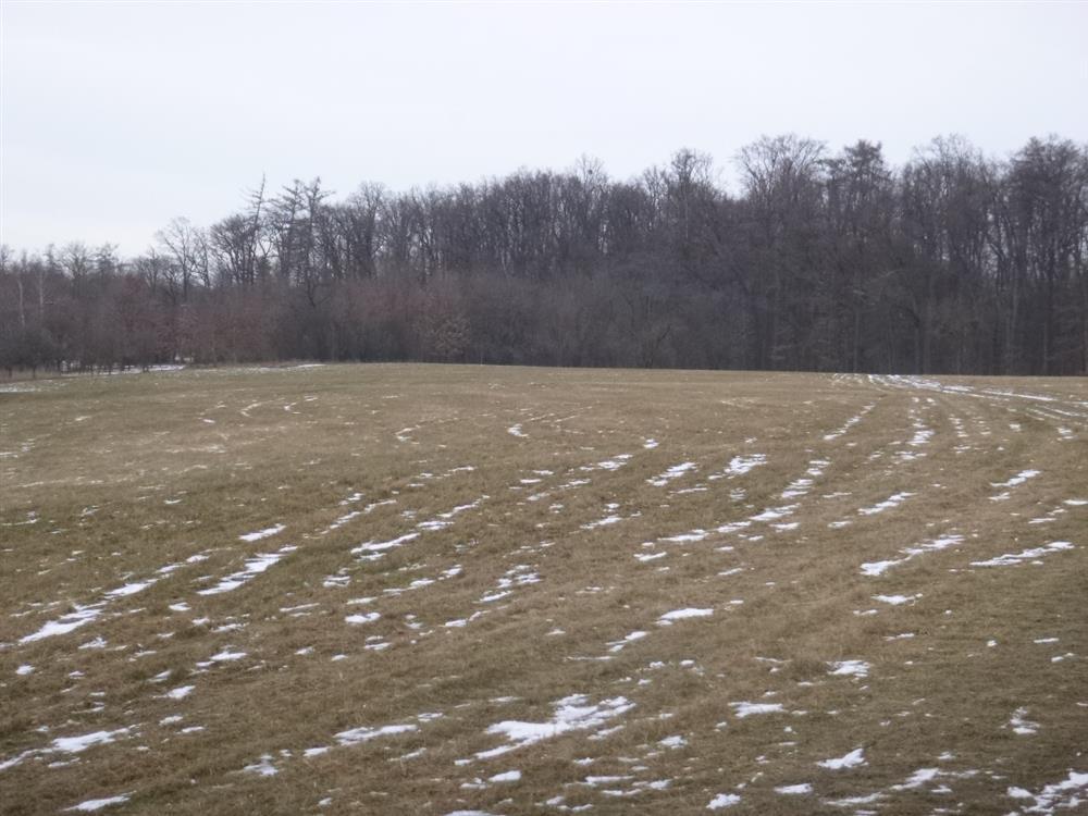 Dražba spoluvlastnického podílu ve výši 1/9 na pozemcích v obci Nová Sídla, okr. Svitavy