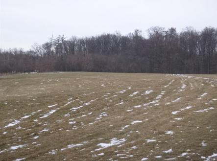 Prodej - pozemek, zemědělská půda, 66 956 m²