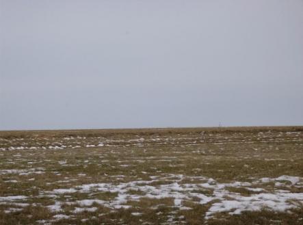 Prodej - pozemek, zemědělská půda, 66 956 m²