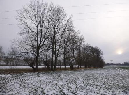 Prodej - pozemek, zemědělská půda, 66 956 m²