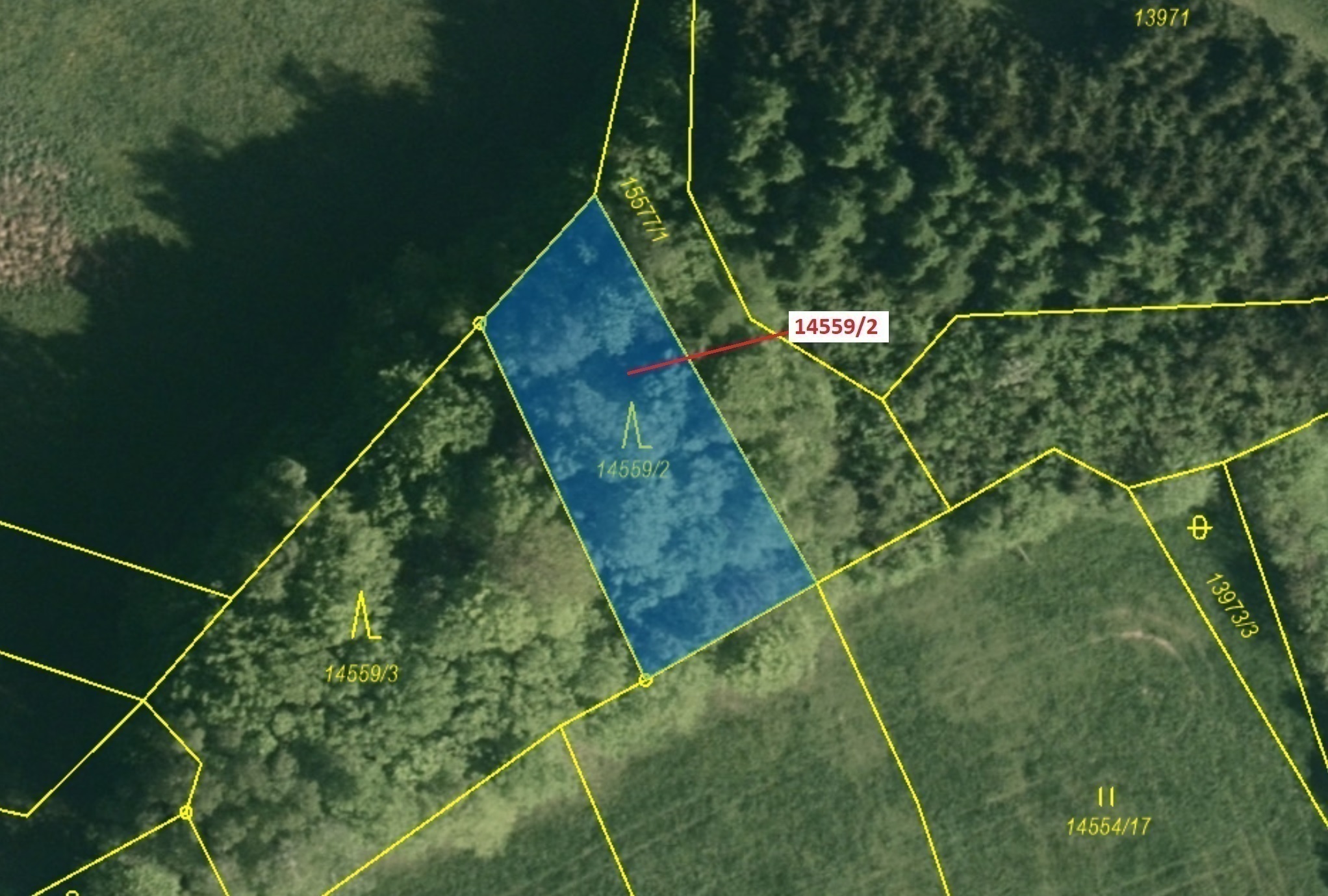 Lesní pozemek o výměře 605 m2, podíl 1/1, katastrální území Hovězí, obec Hovězí, obec s rozšířenou p