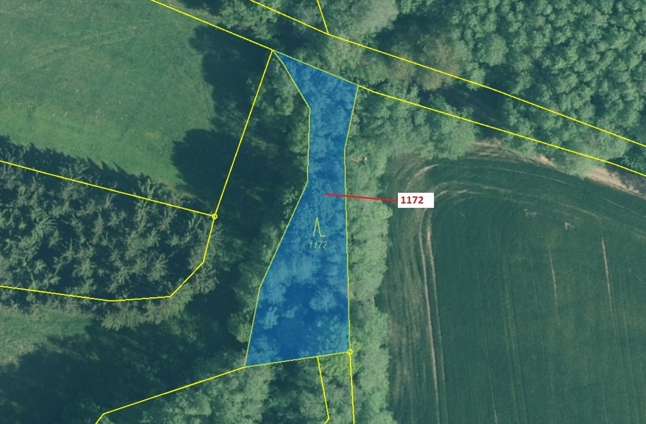 Lesní pozemek o výměře 875 m2, podíl 1/1, katastrální území Kuřimany, obec Kuřimany, obec s rozšířen