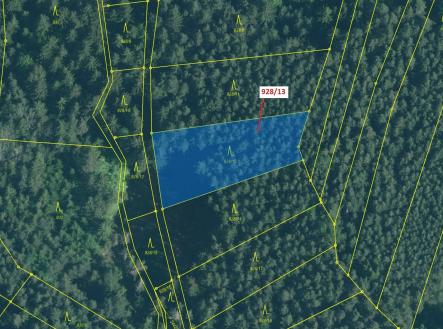 Prodej - pozemek, les, 1 803 m²