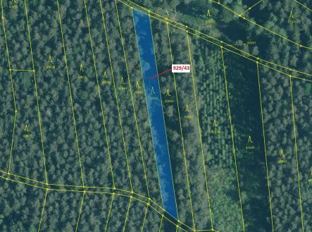 Prodej - pozemek, les, 1 258 m²