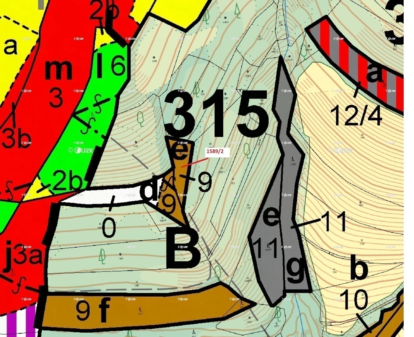 Lesní pozemek o výměře 910 m2, podíl 1/1, katastrální území Hovězí, obec Hovězí, obec s rozšířenou p