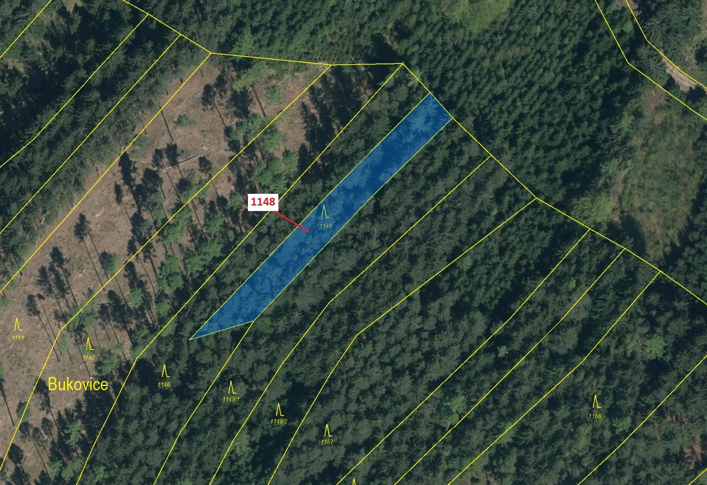 Lesní pozemek o výměře 1105 m2, podíl 1/1, katastrální území Vilice, obec Vilice, obec s rozšířenou 